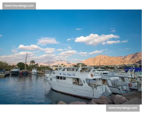 中国对阵埃及2017年国际赛回顾与中埃足球较量全景解析专题篇